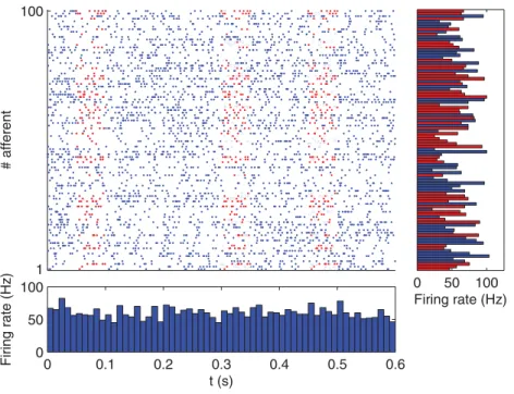 Figure 1. Spatio-temporal spike pattern. Here we show in red a repeating 50 ms long pattern that concerns 50 afferents among 100