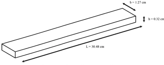 Figure  2:  The dimensions  of a  single  strip of glass  used  in this experiment.