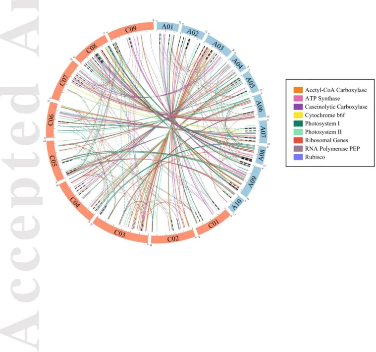 Figure 3. Heatmap of RNAseq data for the two crosses ‘RCC’ and ‘EMZ’ studied. Global  expression is presented as total disc surface for all 110 genes implicated in the nine plastid  complexes