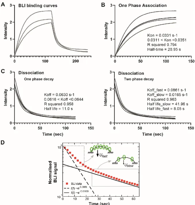 Figure S1: Kinetics of ParB loading and unbinding to a closed DNA in the presence of CTP