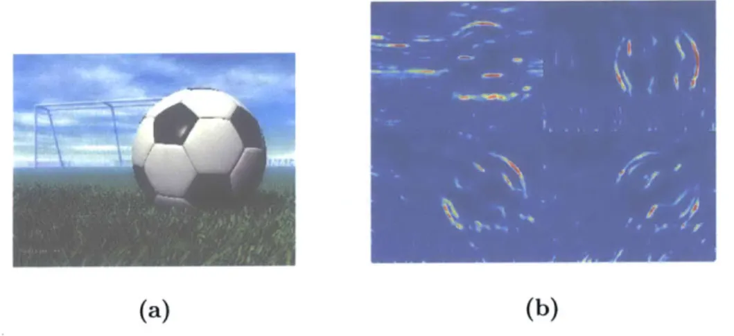 Figure  2-1:  (a)  shows  an  original  image  from  the  Feifei  dataset.  (b)  shows  the  out- out-put  of the  boundary  edge  detector  of  [12]