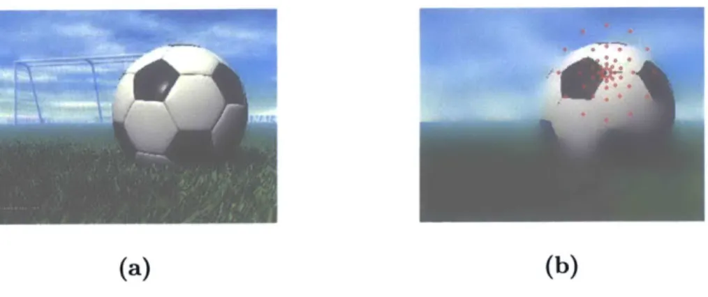 Figure  2-2:  (a) shows the original image.  (b) shows  the geometric  blur about  a feature point