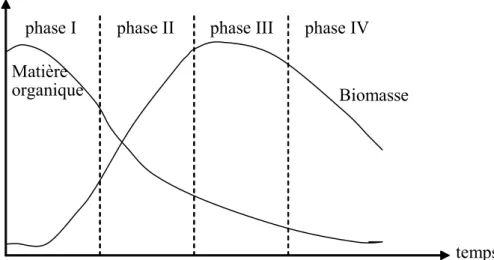 Figure 7 : Evolution de la matière organique et de la biomasse en présence d’une culture bactérienne.