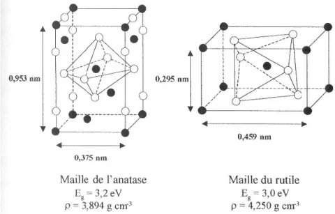 Figure I-4: Schéma de mailles de TiO 2 sous ses formes anatase et rutile