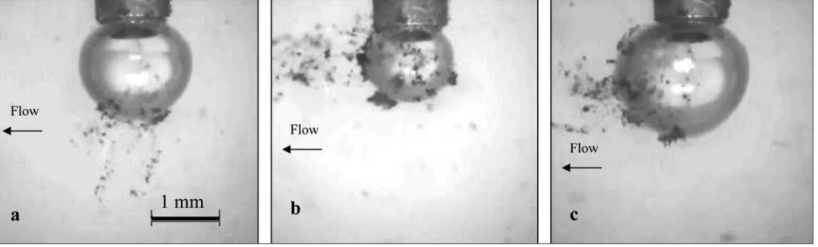 Figure 6a shows an adsorbed toner net- net-work with Re Tank = 900 and Re Bubble = 20.