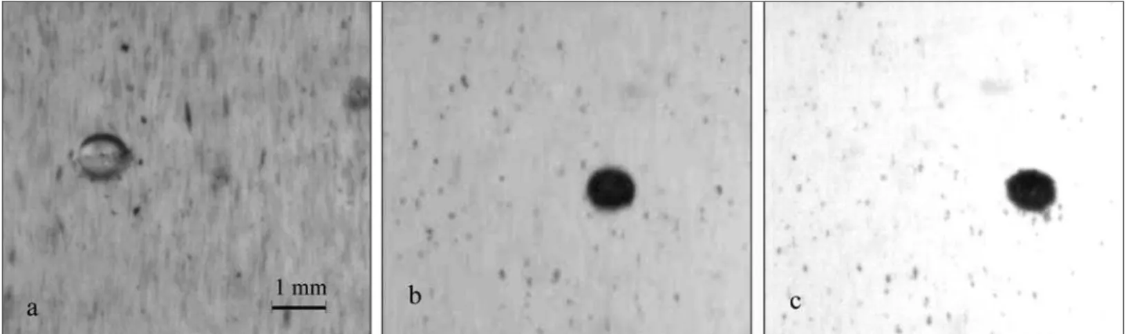 Figure 9 shows the accumulation of ink on a bubble surface with bubble  resi-dence time