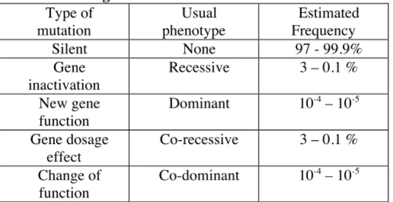 Table 1: New mutations from the perspective of  Mendelian genetics   Type of  mutation  Usual  phenotype  Estimated Frequency   Silent  None  97 - 99.9%  Gene  inactivation  Recessive  3 – 0.1 %   New gene  function  Dominant  10 -4  – 10 -5    Gene dosage