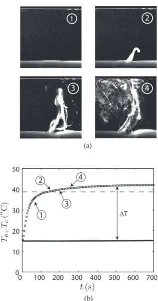 FIG. 2. (a) Time lapse of an experiment showing the granular bed (1) before and (2) after the resuspension threshold and (3), (4) the later evolution of the particle-laden plume