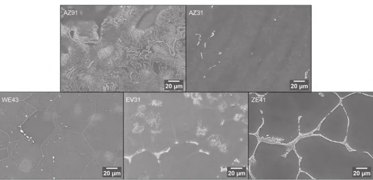 Fig. 1. SEM micrographs of the Mg alloys after polishing and chemical etching.