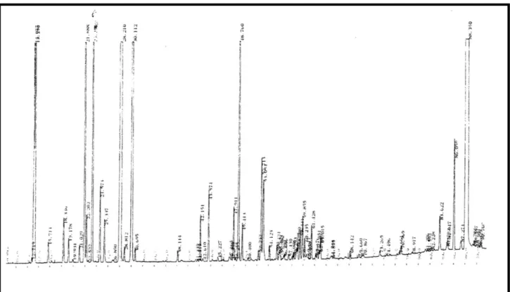 Figure 5 :Chromatogramme de l’HE de Lavandula officinalis obtenu par CPG  D’après ces résultats, 82.59% des composants de l’huile essentielle  de  Lavandula officinalis  représentant  la  somme  des    pourcentages    des  composants    obtenus   ont  été 