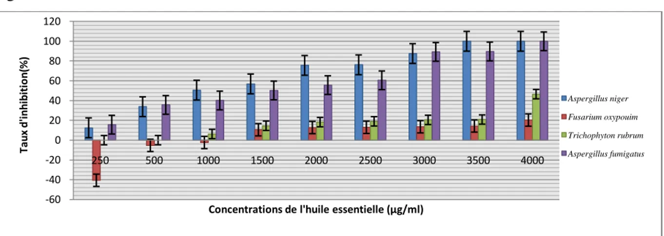 Figure 12 : Taux d’inhibition des extraits vis-à-vis des quatre souches testées 