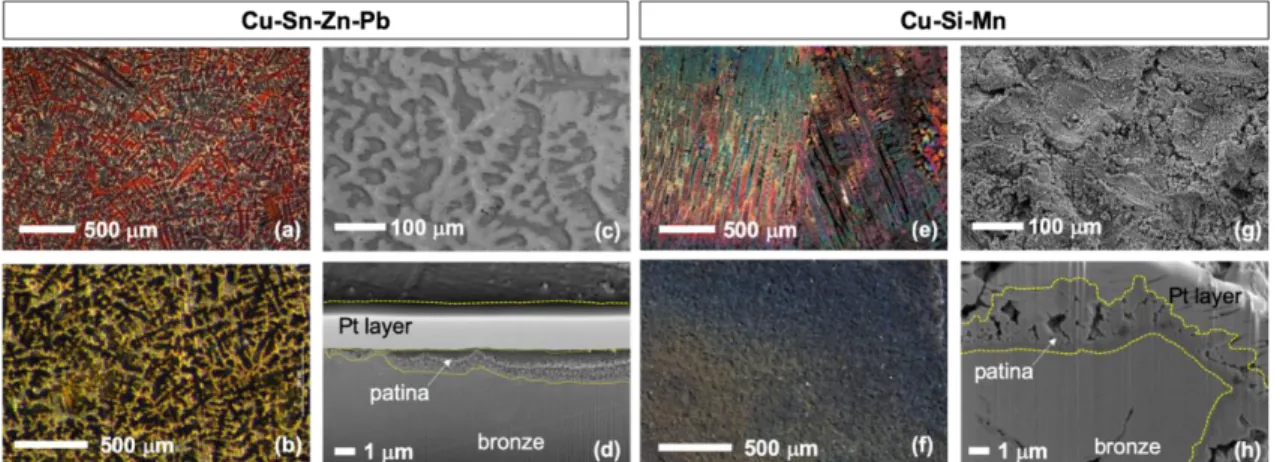 Figure 2: Microstructural observation of patinated bronze substrates before coating application  (Cu-Sn-Zn-Pb  and  Cu-Si-Mn,  respectively):  (a,  e)  dendritic  structure  of  bronze  alloys;  (b,  f)  patinated surfaces by optical microscope; (c, g) pat