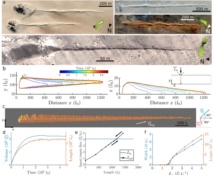 Figure 1. Formation, stabilization, and shape of an elongating linear dune. (a) Elongating linear dunes and sand flux roses in terrestrial dune systems: (top) Niger (16 ◦ 52 ′ N, 13 ◦ 20 ′ E, and 18 ◦ 21 ′ N, 13 ◦ 07 ′ E), (middle) Mauritania (23 ◦ 12 ′ N,