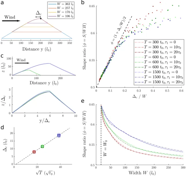 Figure 3. Shape of transverse sections along a steady linear dune. (a) Transverse sections of different width shaped by the same wind regime of period 3,000 t 0 