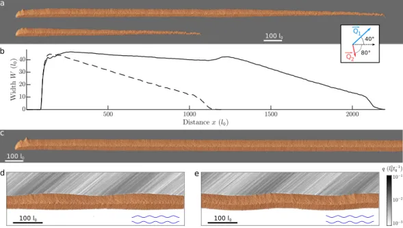 Figure 4. Interactions of elongating linear dunes. (a) Shapes at the end of the secondary wind of two parallel linear dunes at steady state