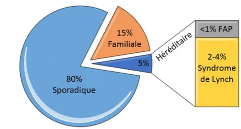 Figure 1 : Répartition du cancer colorectal selon le contexte génétique. Le graphique montre les  pourcentages des sous-types sporadiques, familiaux et héréditaires (Polypose Adénomateuse Familiale  (FAP), et le syndrome de Lynch) du cancer colorectal 