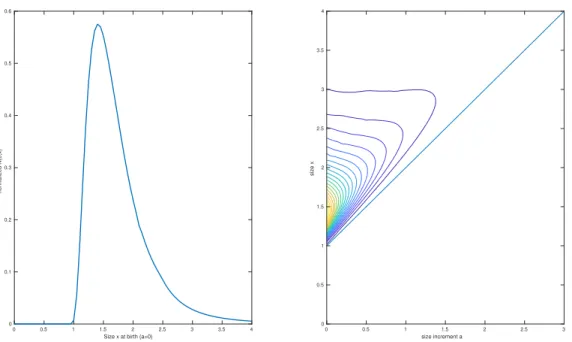 Figure 2: Left: simulation of the function f by the power method with B(a) = 1+a 2 1 {16 a } and µ(z) = 2δ 1