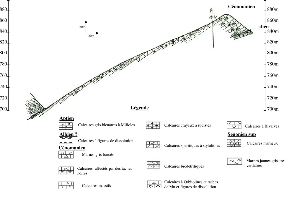 Fig .19 : Coupe géologique de la région d’étude 