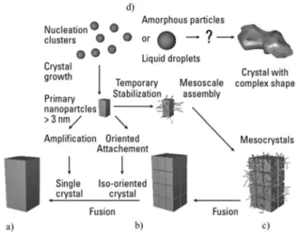 Figure 4. Schematic representation of classical and non-classical theory of crystallization: classical  nucleation and crystal growth pathway (a); iso-oriented crystal pathway (b); mesoscale assembly  pathway in the presence of polymer or additive (c); and