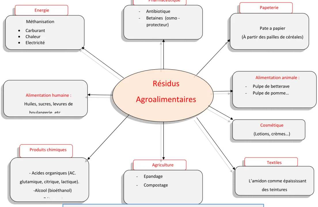 Figure n° 1 : Les principales voies de valorisation des résidus  agroalimentaires 