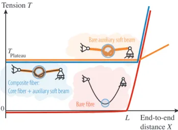 Figure 11: Phenomenological mechanical behaviours for the differ- differ-ent systems.