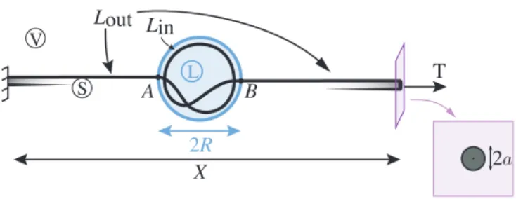 Table 1: The materials used for fiber fabrication and their respective Young’s modulus E.