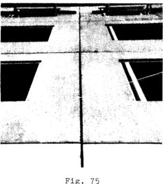 Fig.  75  Fig.  76 