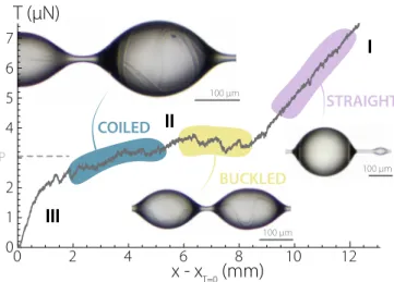Figure 3. Spooling activation . In-drop spooling can also be achieved by synthetic fibres wet by droplets of various newtonian liquids