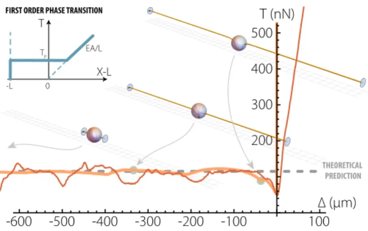 Figure 4. Structural phase transition and detailed me- me-chanical response. Comparison between nano-Newton-resolved measurements on a composite polyurethane filament/silicone oil thread (red line), detailed  simula-tions of an Elastica interacting with a 