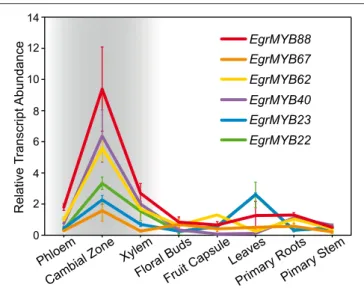 FIGURE 3 | Sequence region targeted by miR828 among the E. grandis and P. trichocarpa members of WPS-I