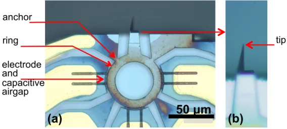Figure 1: (a) Optical microscopy image of a MEMS AFM probe. (b) Close view of the tip apex