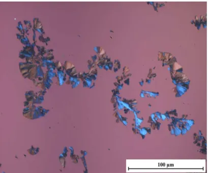 Figure 8 – Polarized light micrograph of spheroidal graphite with twinned protuberances [20]