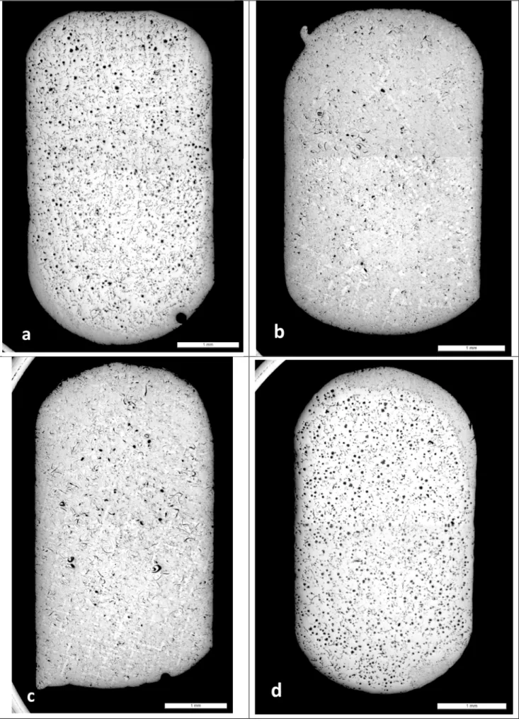 Figure 3 – Optical micrographs of the four DTA samples: alloys #4 (a), #12 (b), #14 (c) and #21 