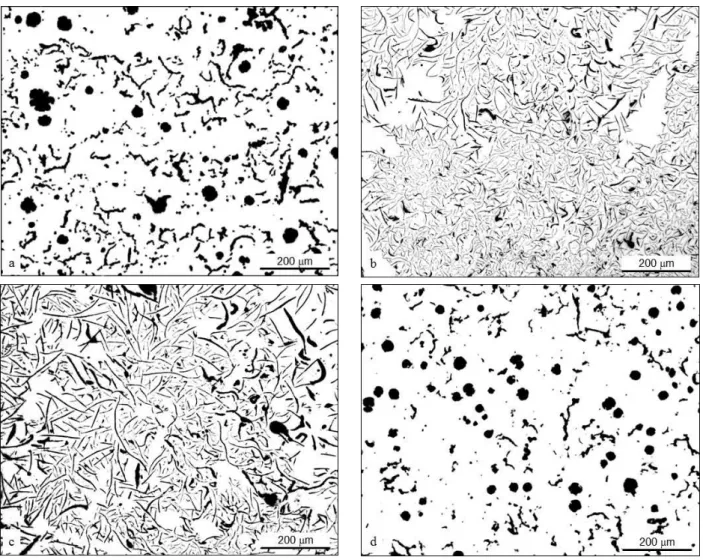 Figure 4 – Characteristic graphite morphologies found in the central part of the four DTA samples: 