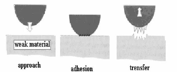 Figure I.9. Schéma de l’usure adhésive. Le matériau adhère à la surface antagoniste et lui arrache de la matière  [5].