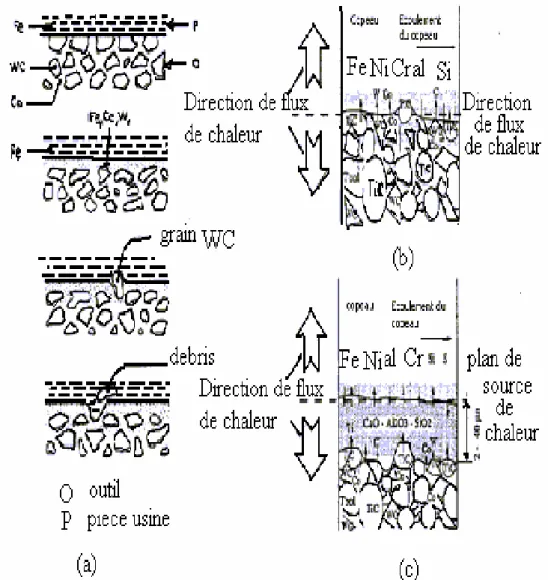 Fig. II.16.  Mécanismes d’usure par diffusion : (a) Représentation schématique des différents stades de  l’usure d’un outil carbure, (b) Modèle dynamique de diffusion,    et (c) Modèle quasi-statique