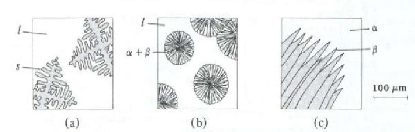 Figure II. 5 : Quelques morphologies importantes de croissance de cristaux [12] :  (a)  dendrites en formation dans un métal pendant la solidification 