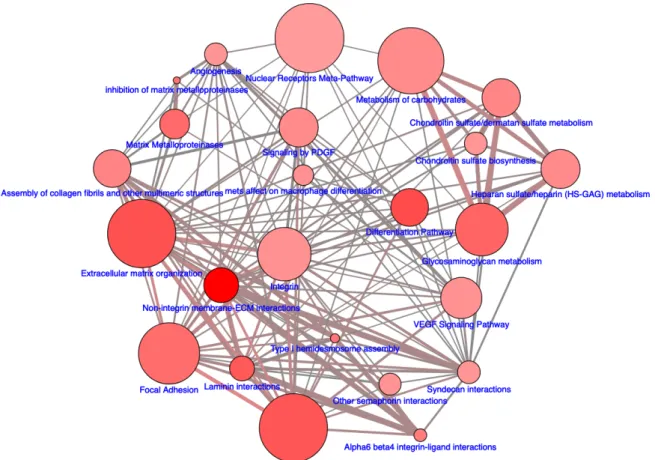 Figure 15 Modulation des voies de signalisation par la lidocaïne : Carte des ensembles de gènes surexprimés après exposition  à  la  lidocaïne,  l’annotation  ici  utilise  la  bibliothèque  des  voies  de  signalisation  (KEGG,  REACTOME,  BIOCARTA,  Wiki