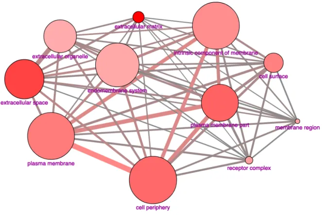 Figure 16 Modulation des composants cellulaires par la lidocaïne : Carte des ensembles de gènes surexprimés après exposition  à la lidocaïne, l’annotation ici utilise la bibliothèque Gene Ontology, et le sous-ensemble des composants cellulaires