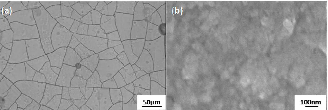 Fig. 5 - FEG-SEM plan views of a coloured and sealed anodic film on the AA 7175T7351  (a) x 200 ; (b) x 60,000