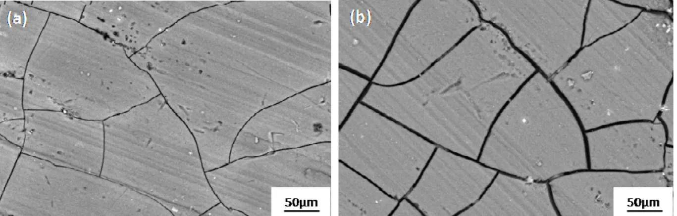 Fig. 6 - SEM plan views of a coloured and sealed anodic film  (a) before thermal cycling (b) after 10 thermal cycles (-140°C/+140°C)