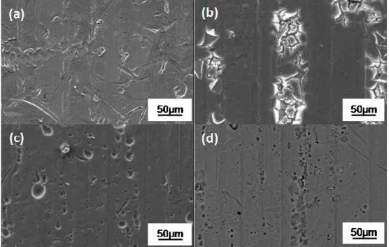 Fig. 2d shows a typical top view of the anodized sample at the mesoscopic scale, while Fig