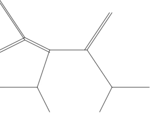 Figure 3.1 – Abstract real tropical curve with its real structure depicted by doubling the exchanged edges.