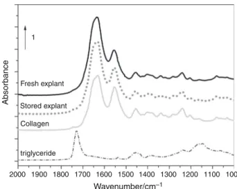 Fig. 7 Representative mean normalized FTIR spectra in the 2000–1000 cm -1 zone for a matched set of fresh and stored dermis, hydrated type I collagen and purified triglycerides