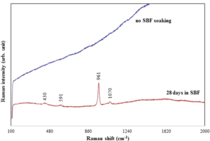 Fig. 5. Raman spectra of sample 80S/0Fe before and after soaking in SBF for 28 days.