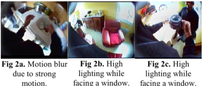 Fig 2a. Motion blur  due to strong   motion.  Fig 2b. High  lighting while  facing a window