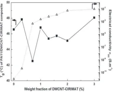 Fig. 4 shows the evolution of the DC conductivity and the glass transition temperature as a function of DWCNT content for PA 11/DWCNT-MT obtained by solvent way