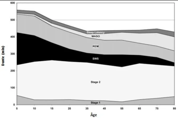 Figure 7 :  Représentation de l effet de l âge sur les durées des stades de sommeil lent léger  (N1 ou Stage 1 et N2 ou Stage N2), du sommeil paradoxal (REM), de la durée des éveils  nocturnes  WASO  et de la latence d endormissement  Sleep Latency  en min