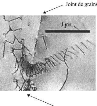 Fig. I. 5 : Durcissement par la taille de grains : empilement de dislocations près d’un joint de  grains, créant des contraintes dans le grain d’à côté [26].