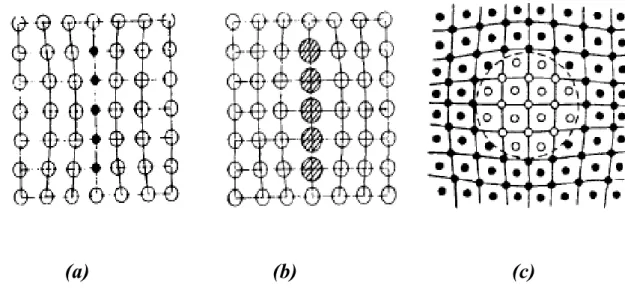 Fig. I. 6 : Représentations schématiques de précipités dans les solides cristallins: 